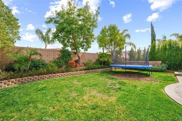 view of yard featuring a fenced backyard and a trampoline