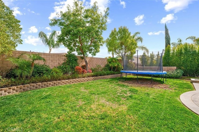 34908 Kooden Rd, Winchester, CA 92596 - view of yard with a trampoline