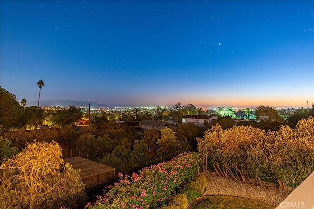 2102 Buena Vista Dr, Camarillo, CA 93010 - photo 36