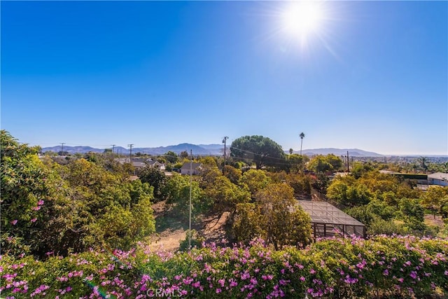 2102 Buena Vista Dr, Camarillo, CA 93010 - photo 33