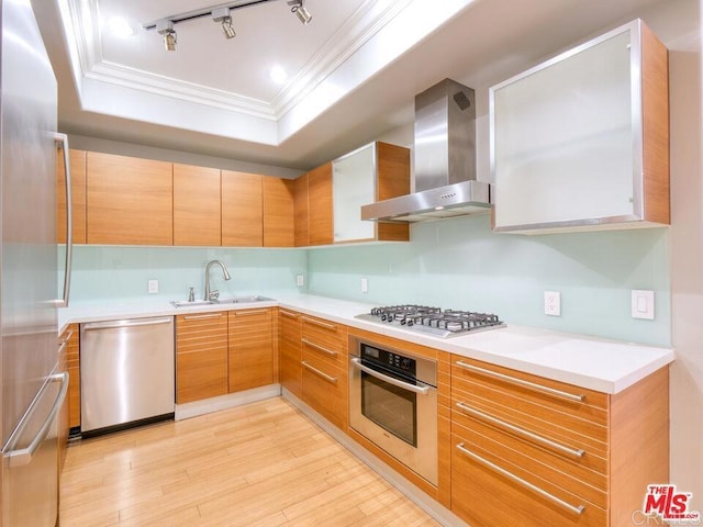 kitchen featuring a raised ceiling, light wood-style flooring, appliances with stainless steel finishes, a sink, and wall chimney range hood