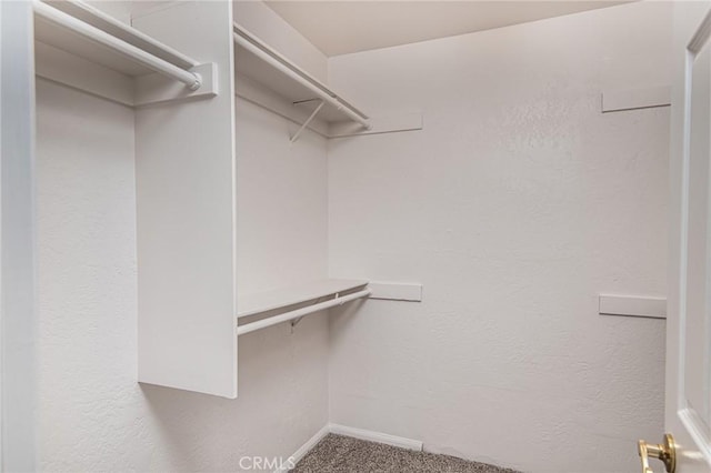 walk in closet featuring carpet flooring