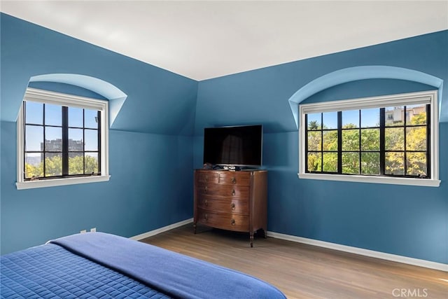 bedroom featuring lofted ceiling, baseboards, and wood finished floors