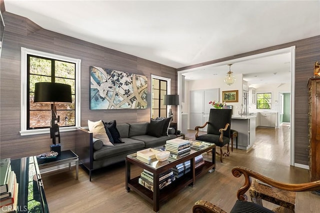 living area featuring light wood finished floors