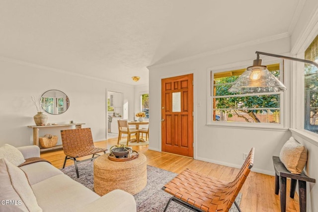 living area featuring light wood-style floors, a wealth of natural light, and crown molding