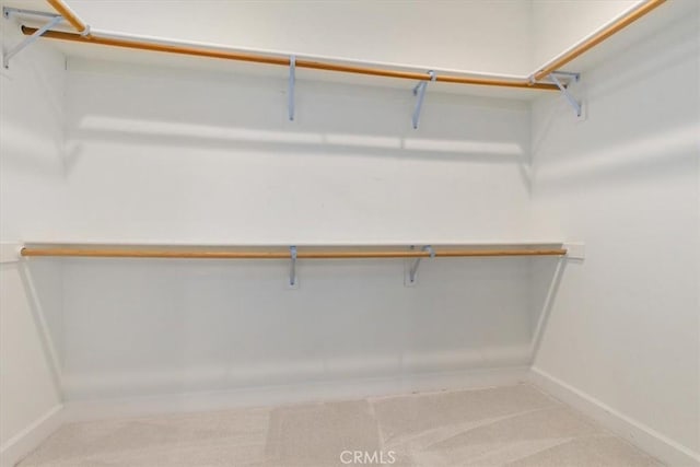 walk in closet featuring carpet