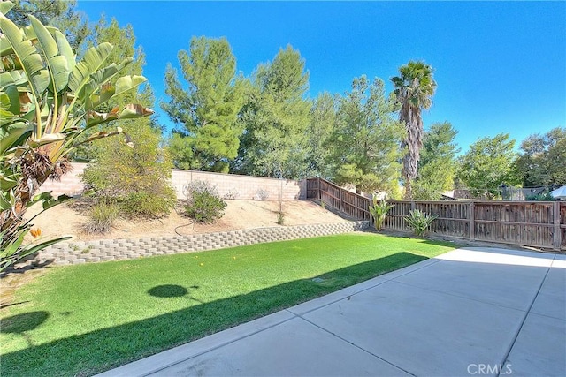 view of yard featuring a fenced backyard and a patio