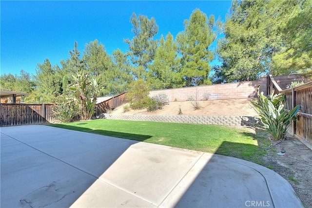 view of yard with a patio and a fenced backyard