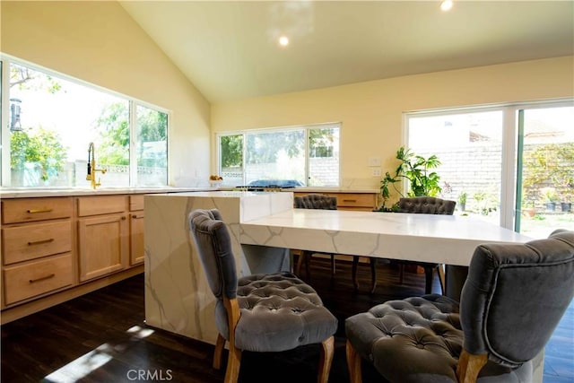 office space featuring lofted ceiling, dark wood-type flooring, plenty of natural light, and a sink