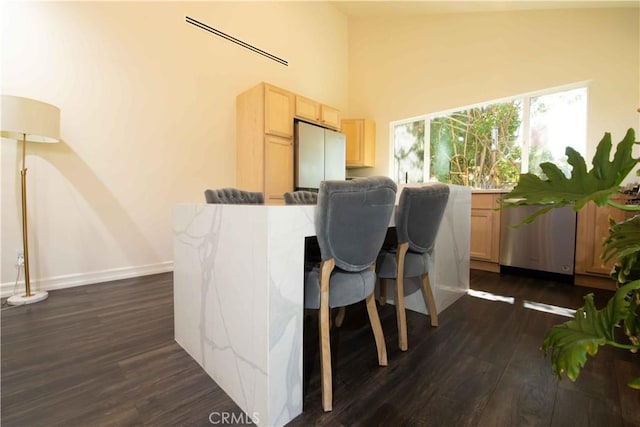 interior space featuring light brown cabinetry, a high ceiling, dark wood finished floors, and baseboards