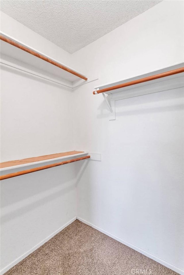 spacious closet featuring light colored carpet