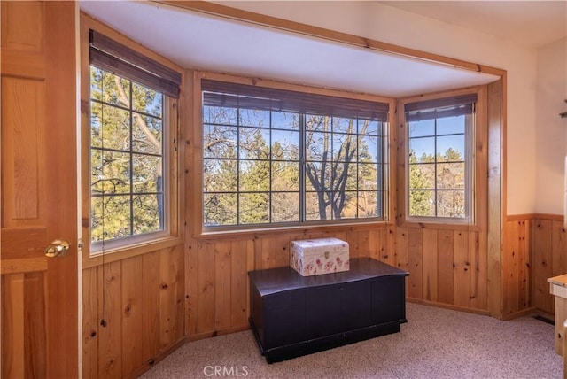 sitting room featuring carpet floors, a wainscoted wall, and wood walls