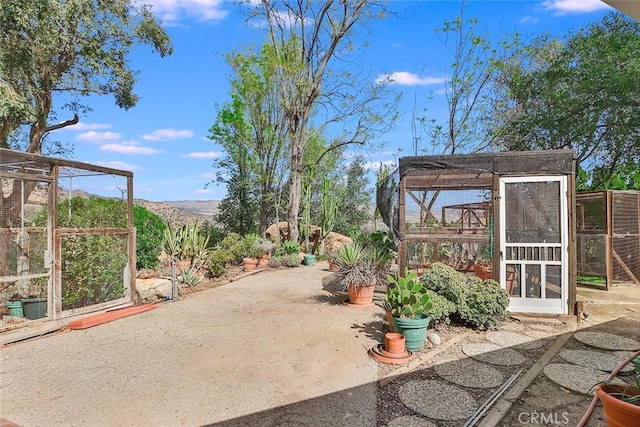 view of patio / terrace with an outbuilding