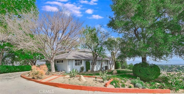 ranch-style house featuring stucco siding