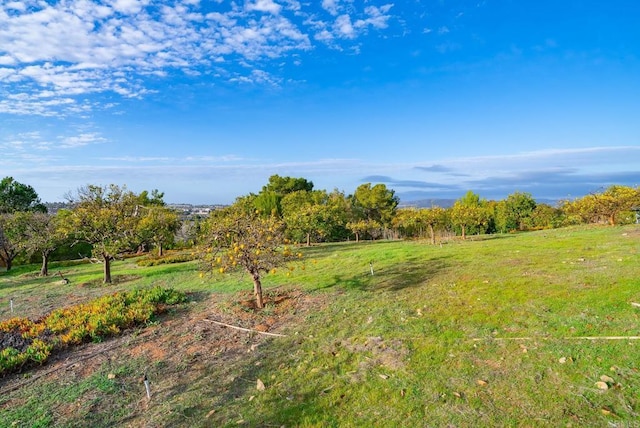 view of yard with a rural view