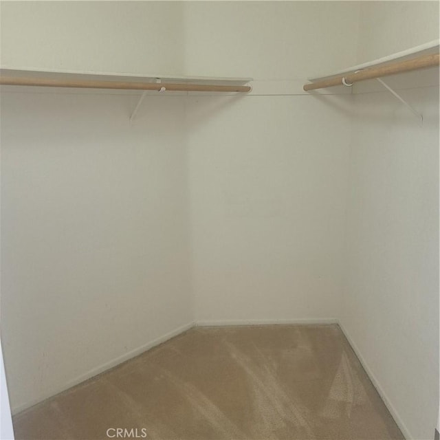 spacious closet with light colored carpet