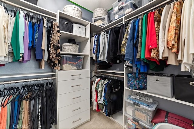 walk in closet with carpet