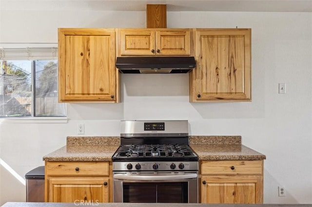 kitchen featuring stainless steel gas range oven and under cabinet range hood