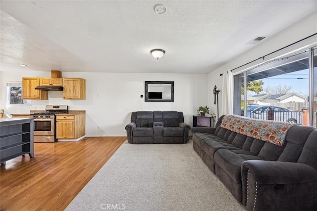 living area with a textured ceiling, visible vents, and light wood-style floors