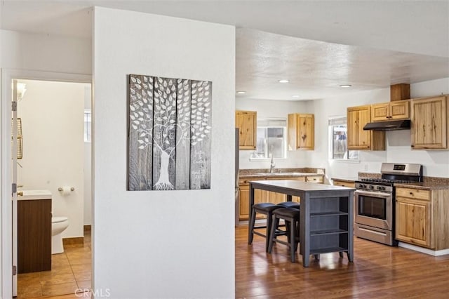 kitchen featuring under cabinet range hood, stainless steel gas range oven, a kitchen island, and wood finished floors