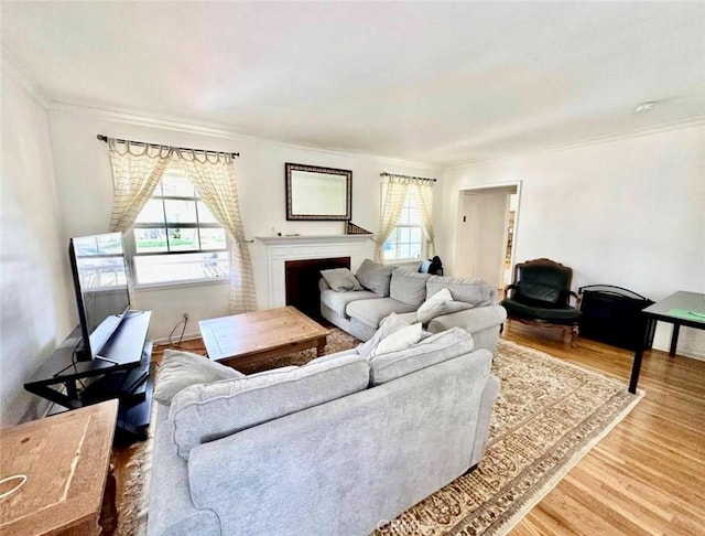 living room with ornamental molding, a fireplace, and wood finished floors