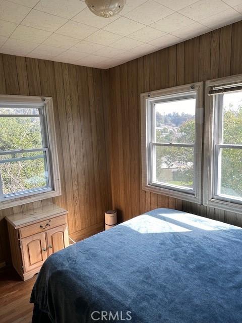 bedroom featuring dark wood-type flooring