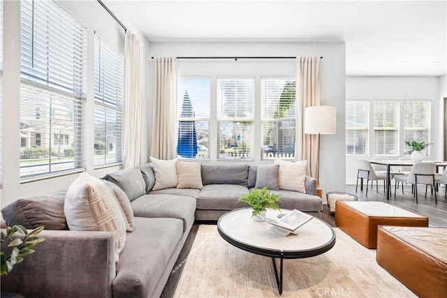 living area featuring wood finished floors