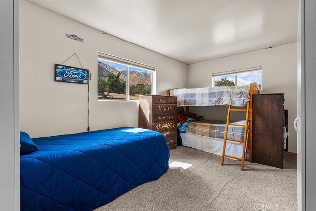 carpeted bedroom featuring multiple windows