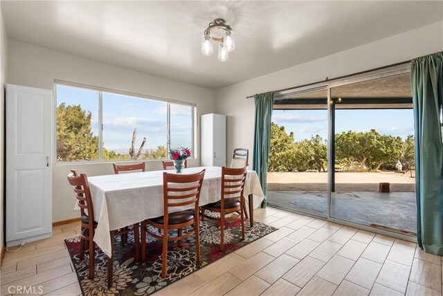 dining space with baseboards and wood finish floors