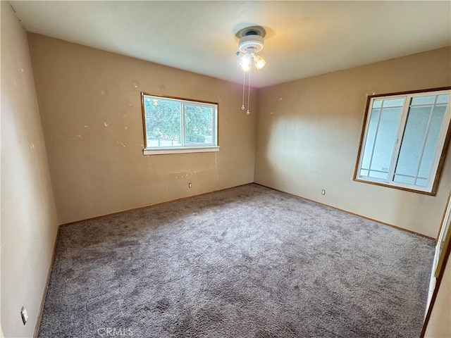 spare room featuring carpet floors