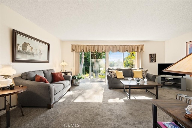 living room with a textured ceiling and carpet flooring