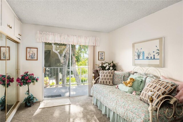 carpeted bedroom featuring access to exterior, a closet, and a textured ceiling