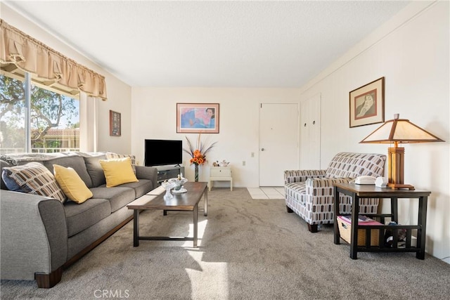 carpeted living area with a textured ceiling