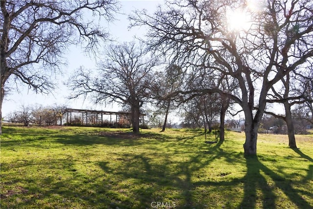 view of yard featuring an outdoor structure