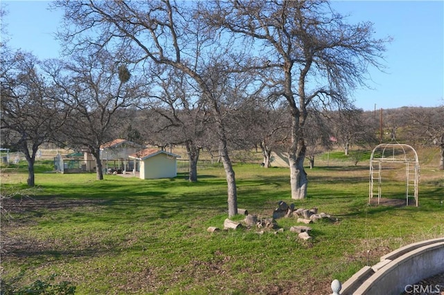 view of yard featuring an outdoor structure