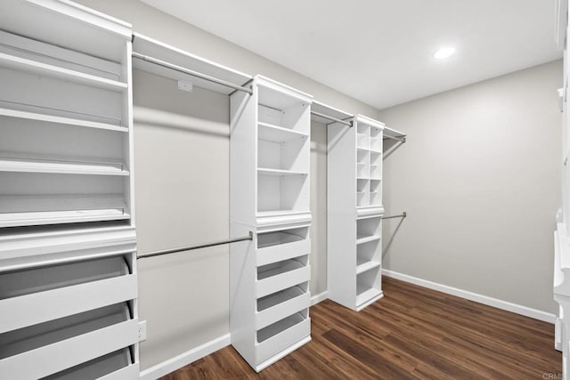 walk in closet featuring dark wood-type flooring