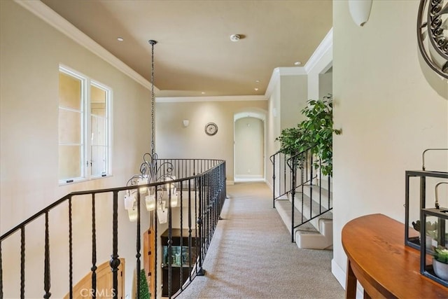 1175 Bassi Dr, San Luis Obispo, CA 93405 - photo 46