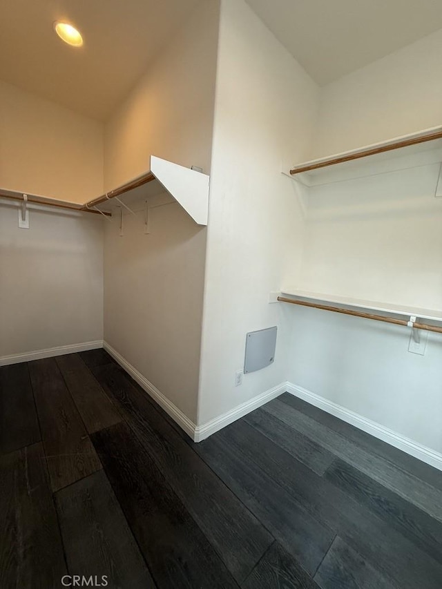 walk in closet featuring dark wood-style flooring