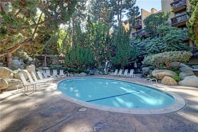 pool featuring a patio area