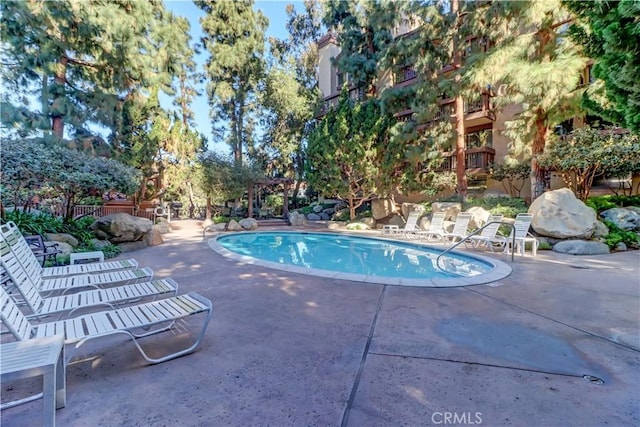 pool with a pergola and a patio