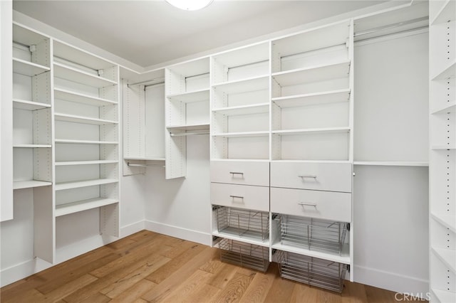 spacious closet featuring wood finished floors