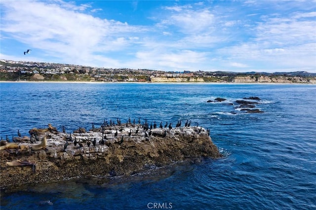 property view of water