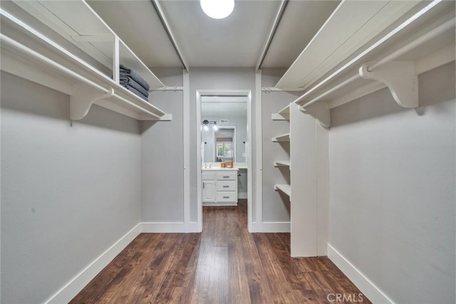 spacious closet with dark wood-style floors