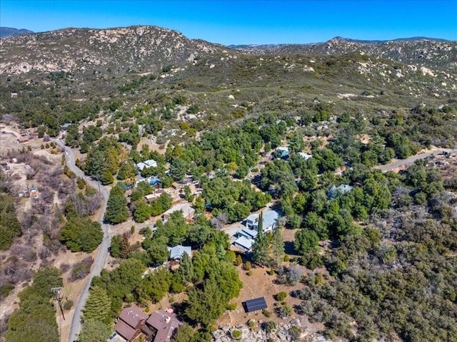 birds eye view of property featuring a mountain view