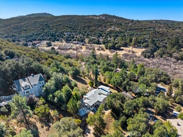 birds eye view of property featuring a forest view