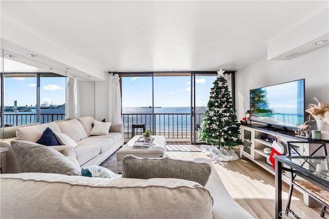 living room with floor to ceiling windows and wood finished floors