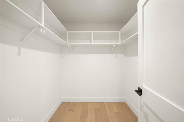 walk in closet featuring light wood-style flooring