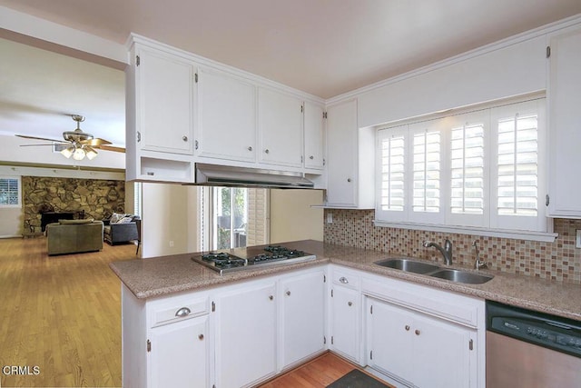 kitchen featuring under cabinet range hood, stainless steel appliances, a fireplace, a sink, and tasteful backsplash