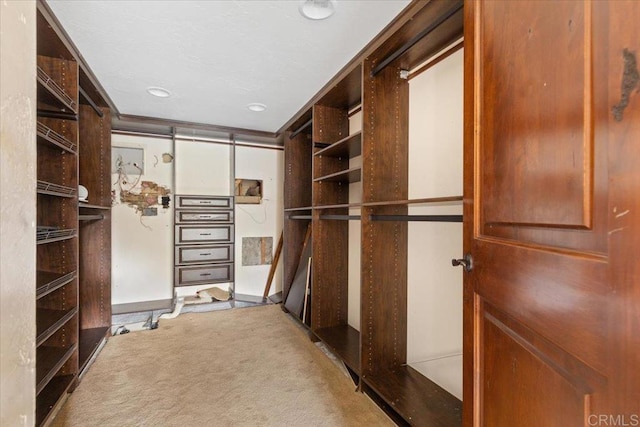 walk in closet with carpet flooring