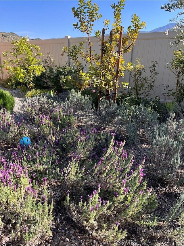 24674 Crestley Dr, Corona, CA 92883 - view of yard